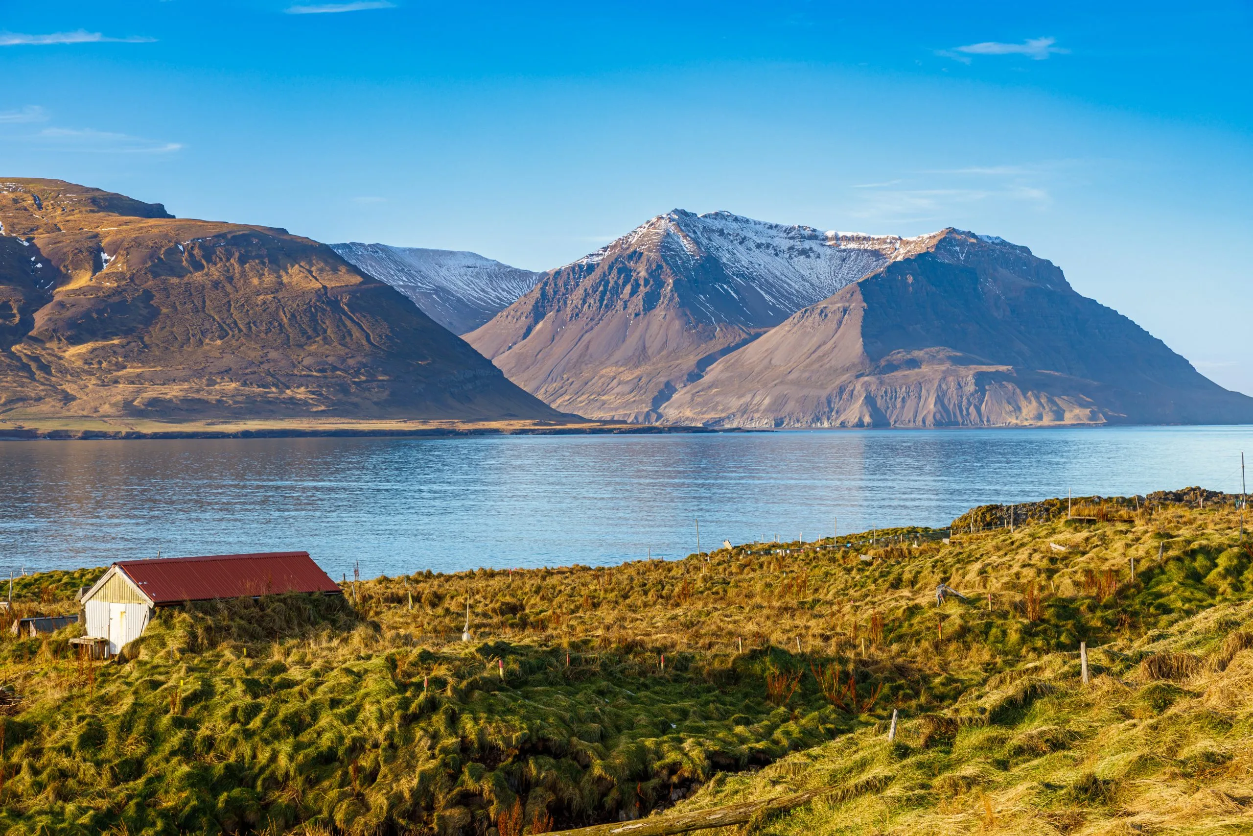 Borgarfjörður eystri en Islande, un lieu pour observer les macareux