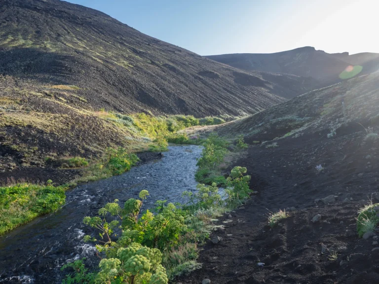 Icelandic landscape with blue river stream and lush green vegatation at Iceland on Laugavegur hiking trail, green valley in volcanic landscape among lava fields and mountains. Early morning, summer